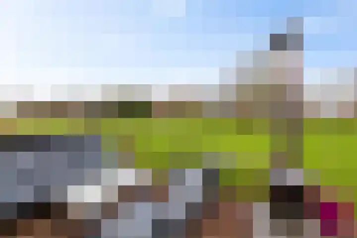 Peppeling 11 Hoogezand thumbnail 22