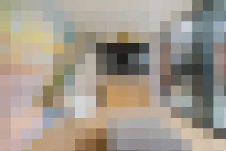Peppeling 11 Hoogezand thumbnail 25