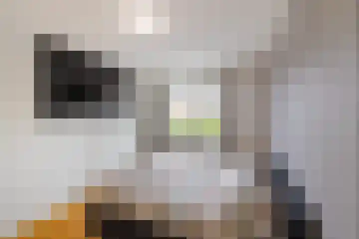 Peppeling 11 Hoogezand thumbnail 36