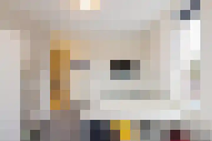 Peppeling 11 Hoogezand thumbnail 40