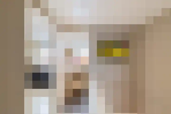 Peppeling 11 Hoogezand thumbnail 41