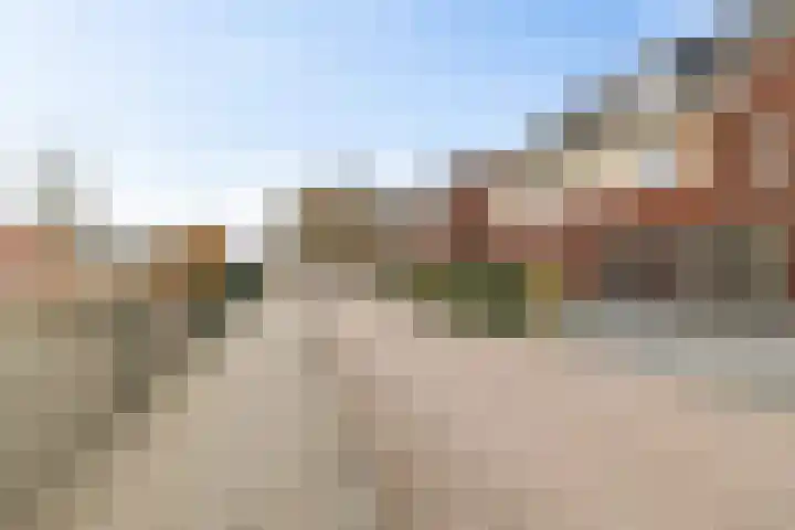 Peppeling 11 Hoogezand thumbnail 5
