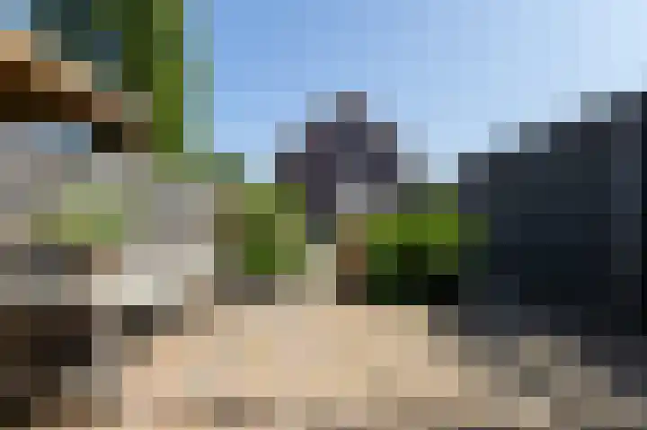 Peppeling 50 Hoogezand thumbnail 22