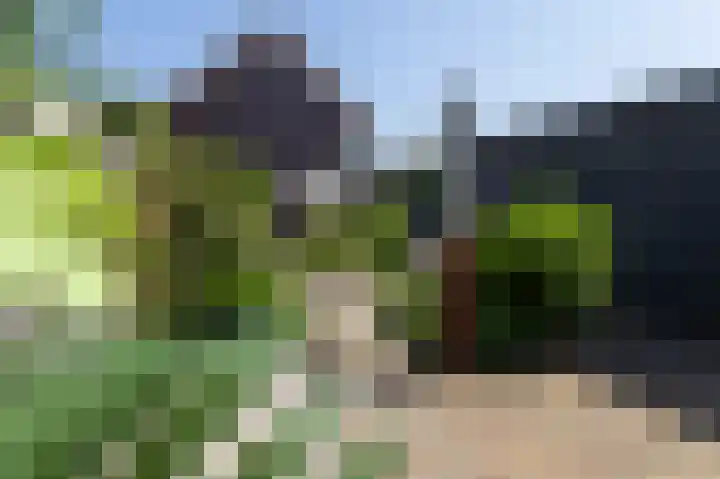 Peppeling 50 Hoogezand thumbnail 23