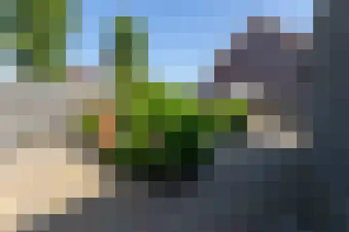 Peppeling 50 Hoogezand thumbnail 24