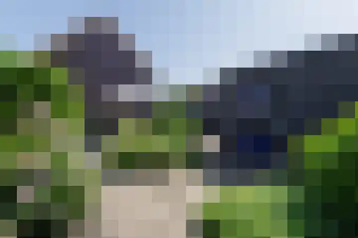 Peppeling 50 Hoogezand thumbnail 25