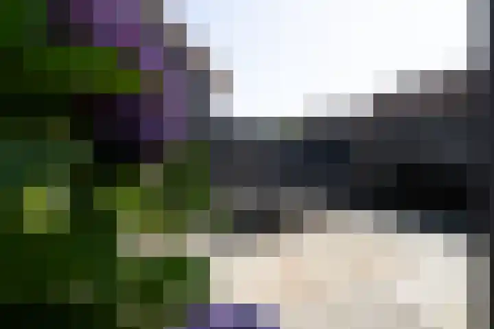 Peppeling 50 Hoogezand thumbnail 26