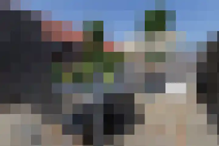 Peppeling 50 Hoogezand thumbnail 28