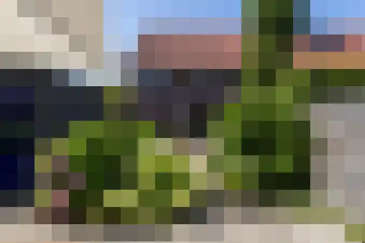 Peppeling 50 Hoogezand thumbnail 30