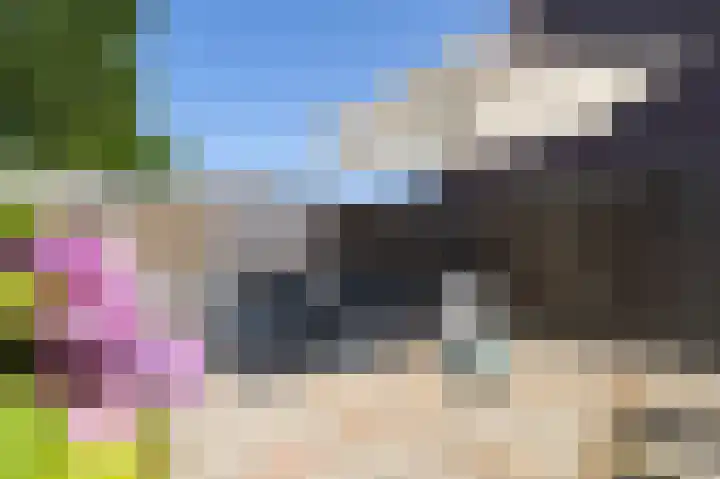 Peppeling 50 Hoogezand thumbnail 31