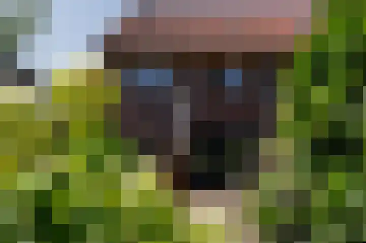Peppeling 50 Hoogezand thumbnail 32