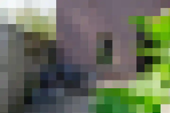 Peppeling 50 Hoogezand thumbnail 33