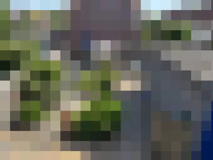 Peppeling 50 Hoogezand thumbnail 40
