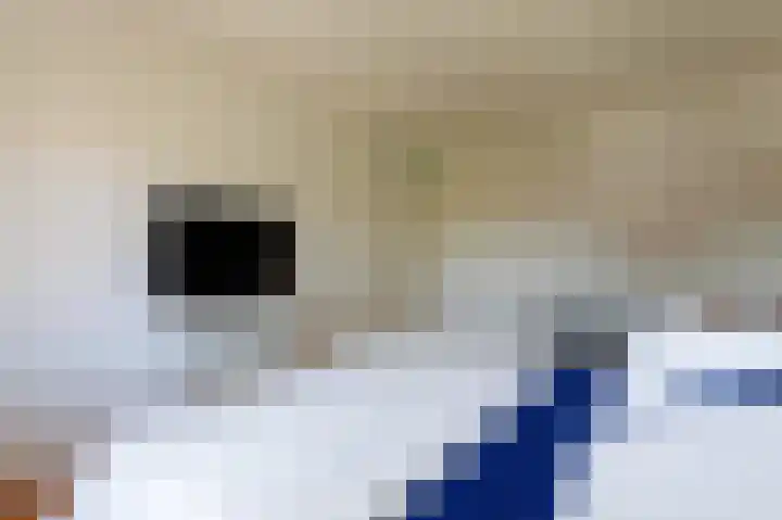 Peppeling 50 Hoogezand thumbnail 42