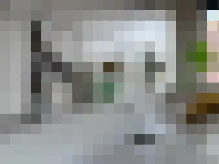 Peppeling 50 Hoogezand thumbnail 46