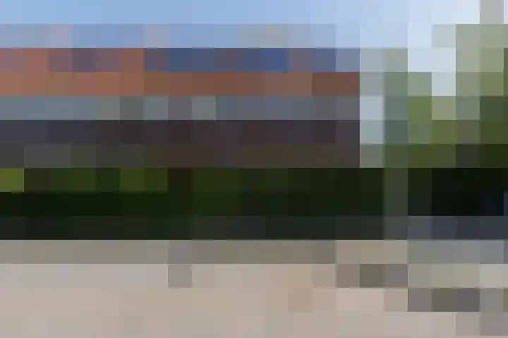 Peppeling 50 Hoogezand thumbnail 6