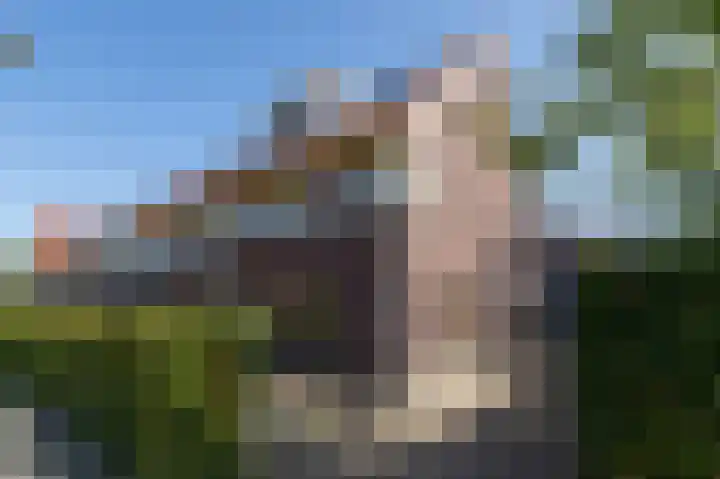 Peppeling 50 Hoogezand thumbnail 7