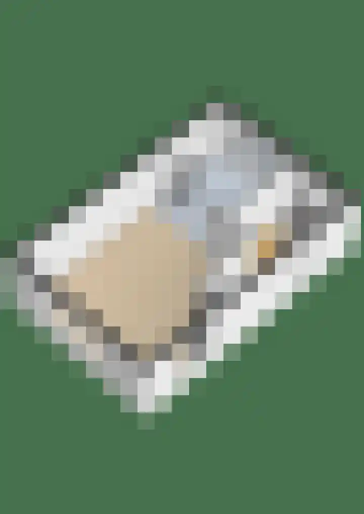 Peppeling 50 Hoogezand thumbnail 73