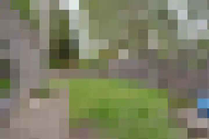 Peppeling 57 Hoogezand thumbnail 10