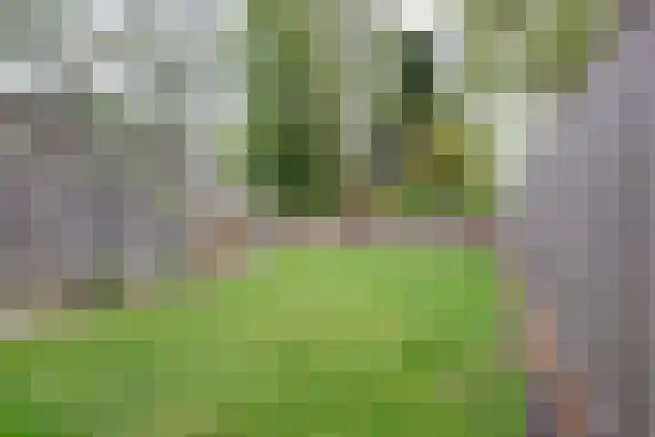 Peppeling 57 Hoogezand thumbnail 11