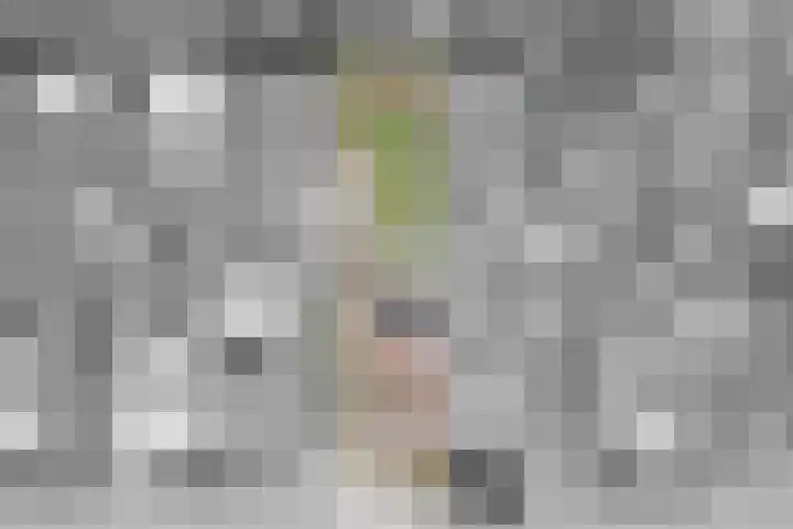 Peppeling 57 Hoogezand thumbnail 4