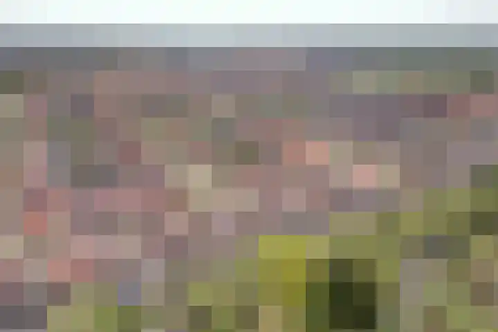 Peppeling 57 Hoogezand thumbnail 8