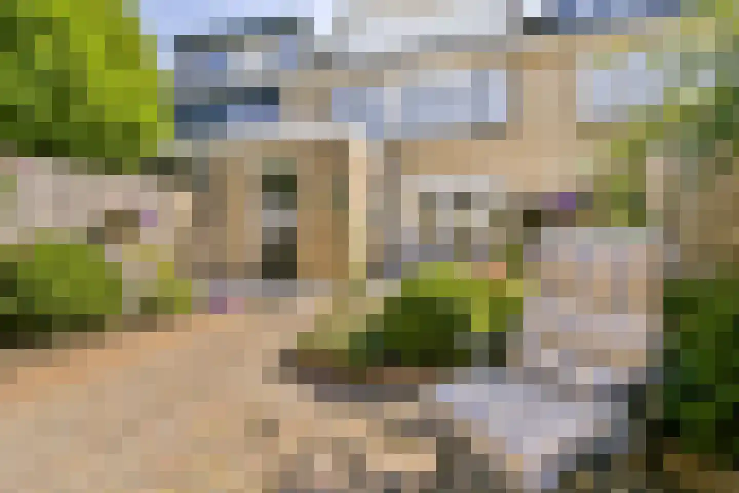 Peppellaan 10 Dordrecht thumbnail 17