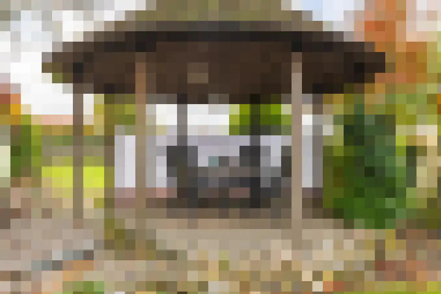 Peppellaan 19 Aadorp thumbnail 22
