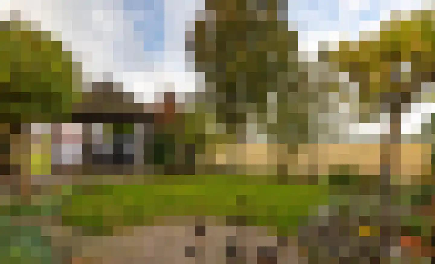 Peppellaan 19 Aadorp thumbnail 23