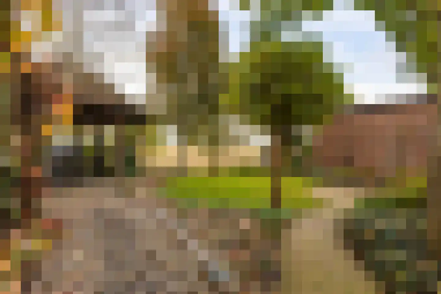 Peppellaan 19 Aadorp thumbnail 34