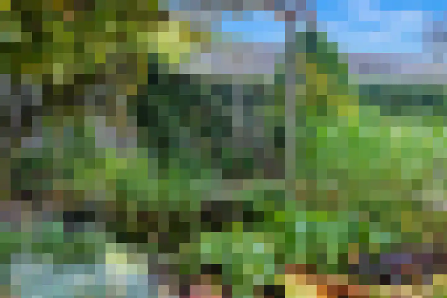 Peppellaan 19 Aadorp thumbnail 35