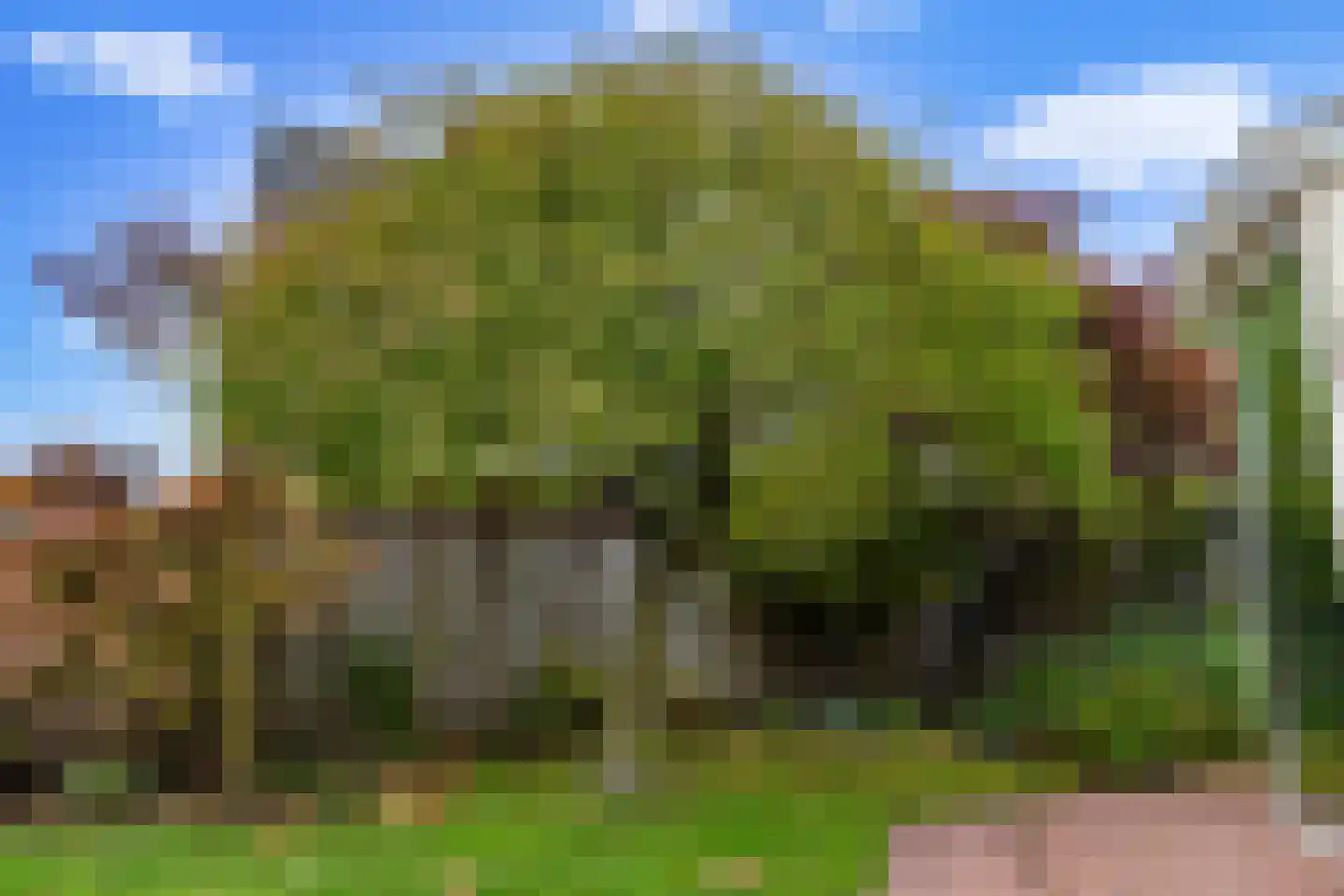 Peppellaan 19 Aadorp thumbnail 37