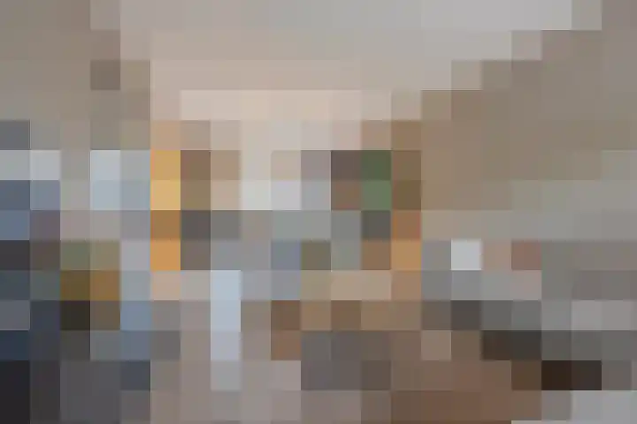 Peppellaan 19 Tiel thumbnail 15