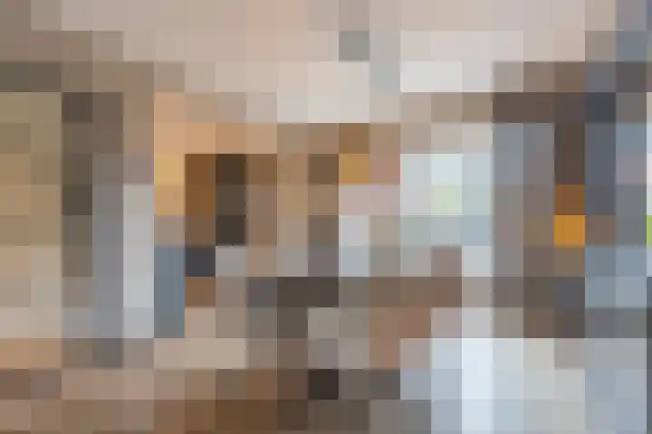 Peppellaan 19 Tiel thumbnail 17