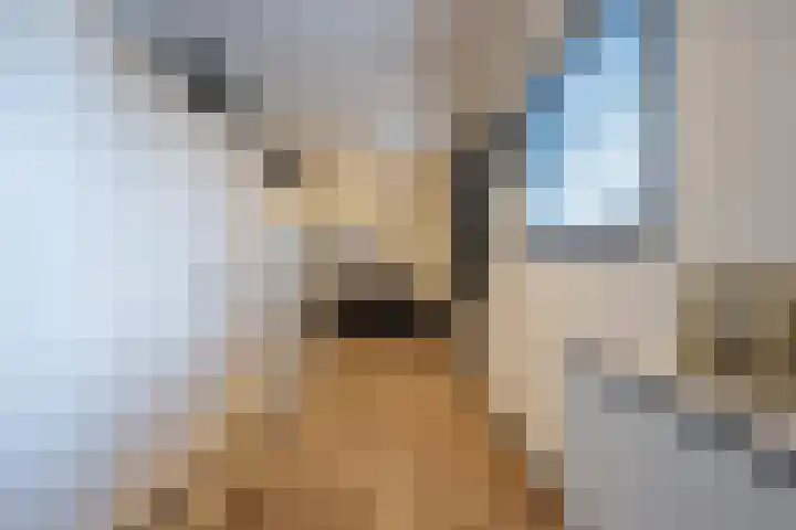 Peppellaan 19 Tiel thumbnail 28