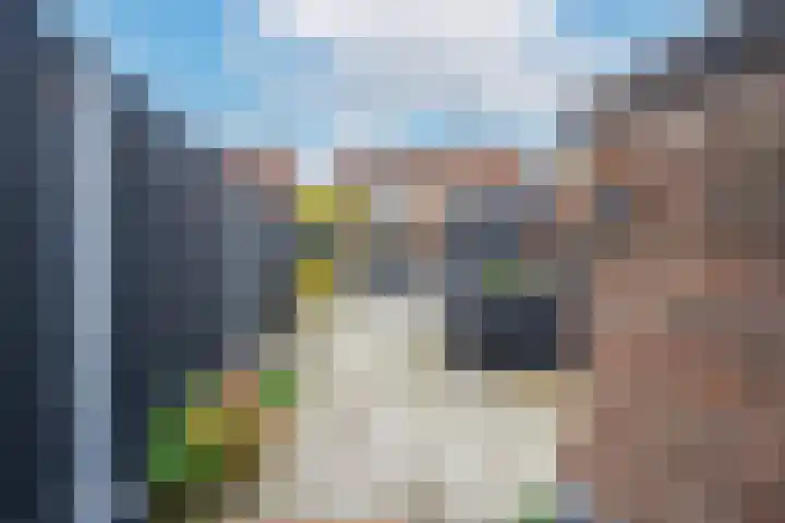 Peppellaan 19 Tiel thumbnail 39
