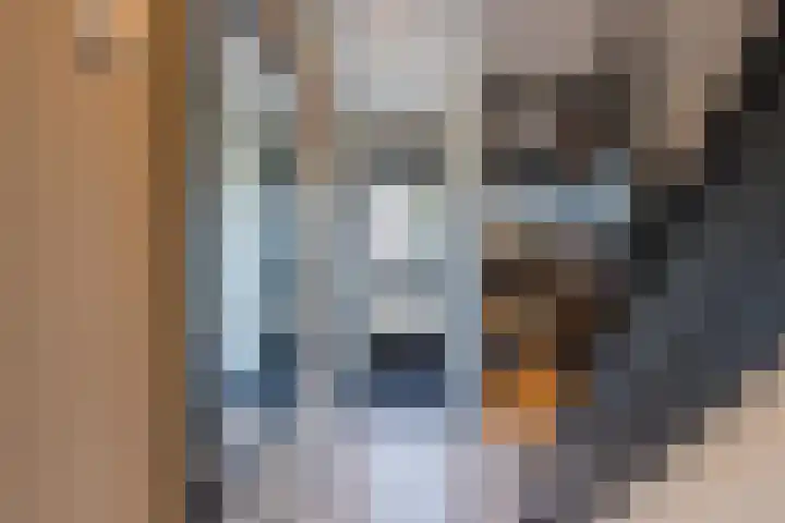 Peppellaan 19 Tiel thumbnail 41
