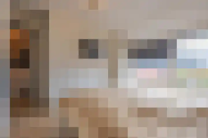 Peppellaan 19 Tiel thumbnail 45