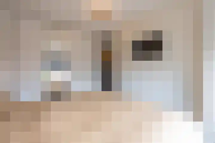 Peppellaan 19 Tiel thumbnail 46