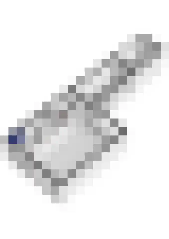 Peppellaan 19 Tiel thumbnail 59