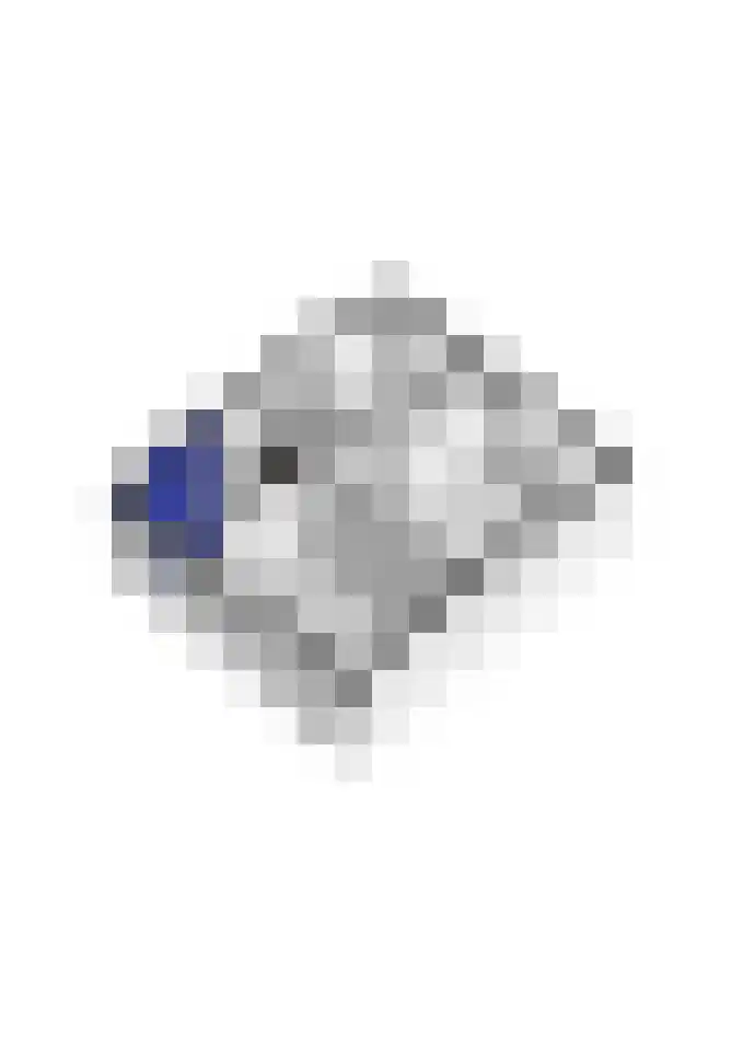 Peppellaan 19 Tiel thumbnail 61