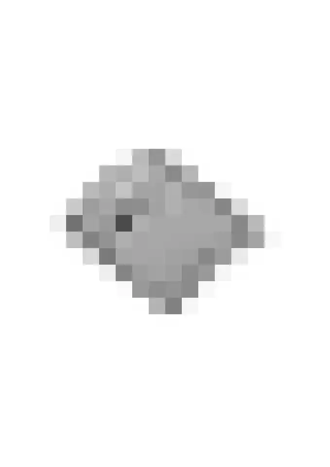 Peppellaan 19 Tiel thumbnail 63