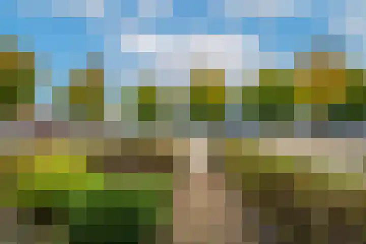 Peppellaan 19 Tiel thumbnail 7