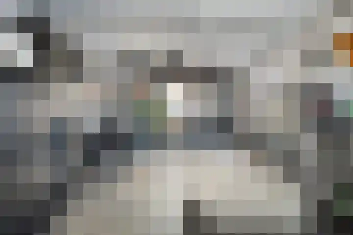 Peppellaan 9 a Aadorp thumbnail 26