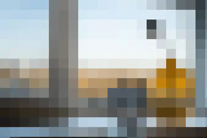 Peppellaan 9 a Aadorp thumbnail 31