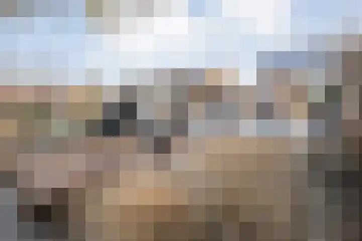 Peppellaan 9 a Aadorp thumbnail 52