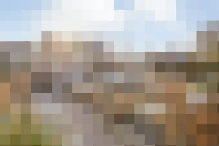 Peppellaan 9 a Aadorp thumbnail 56