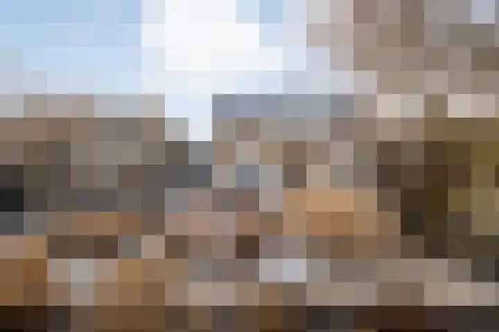 Peppellaan 9 a Aadorp thumbnail 57