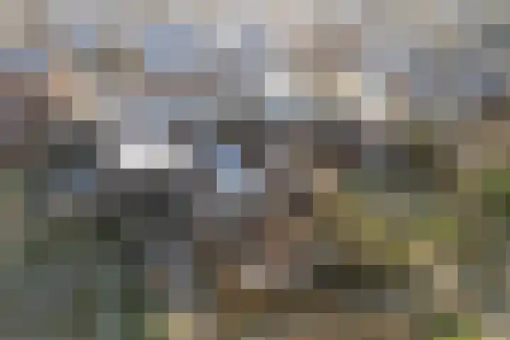 Peppellaan 9 a Aadorp thumbnail 60
