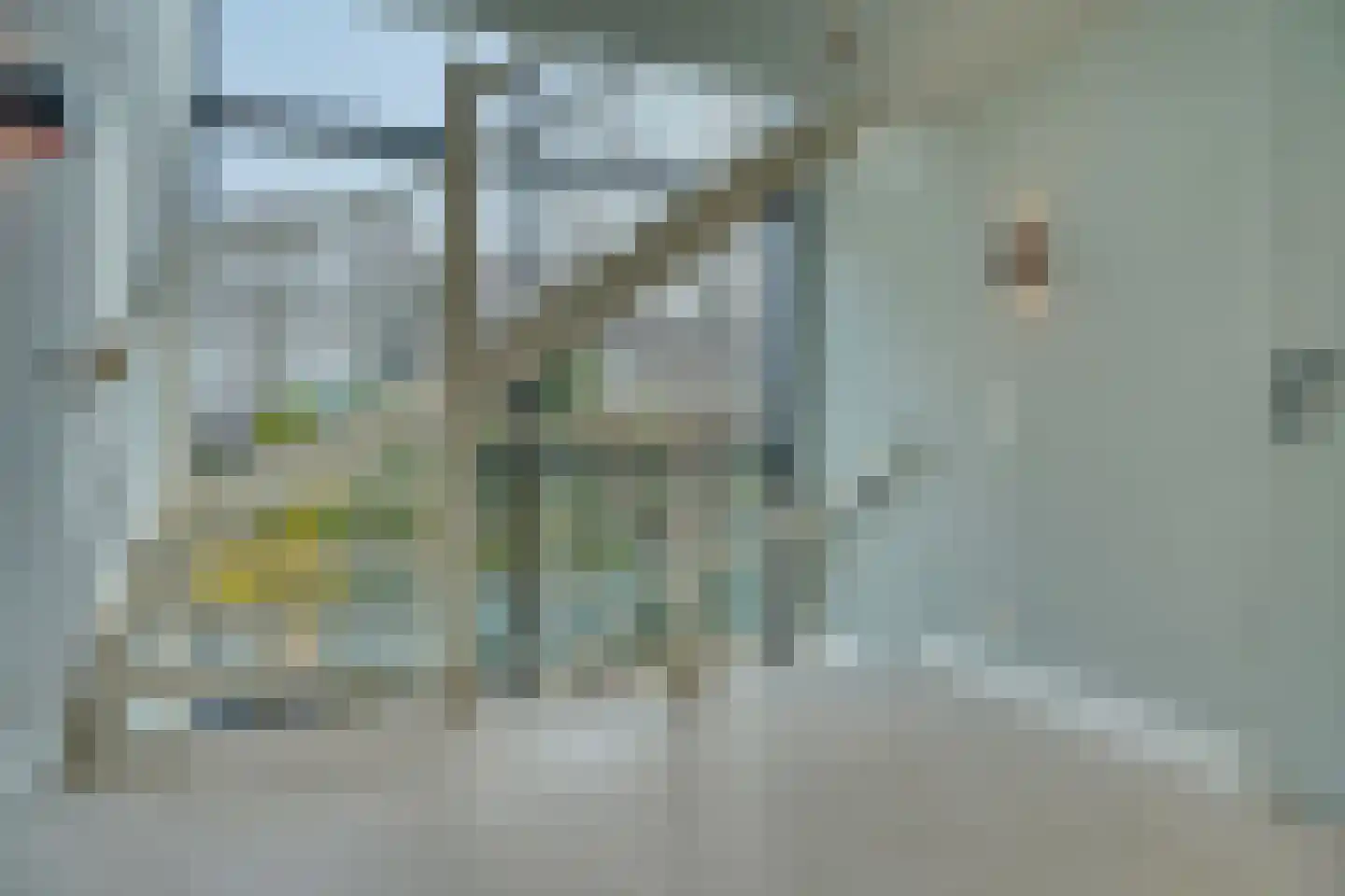 Peppellaan 9 Dordrecht thumbnail 12